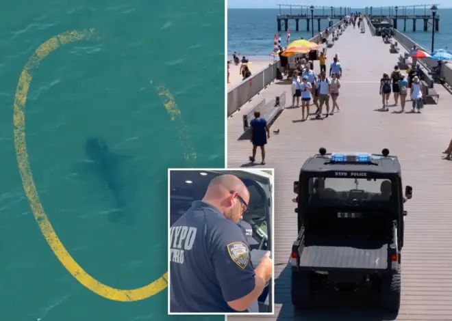 NYPD deploys drones to track sharks after rise in sightings off NYC beaches