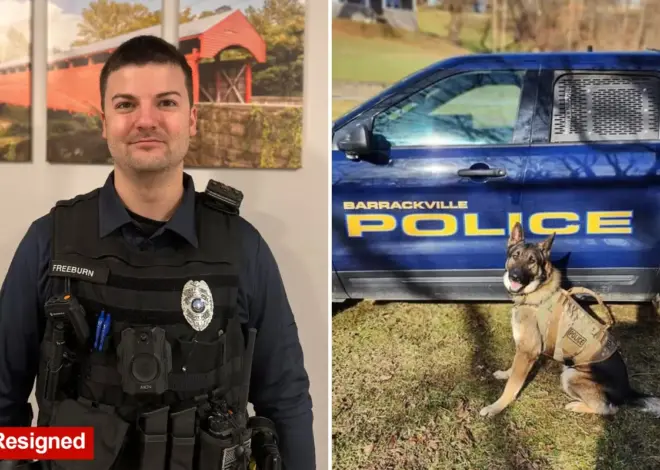 West Virginia town’s entire police force fired after ex-sergeant claims evidence room was broken into