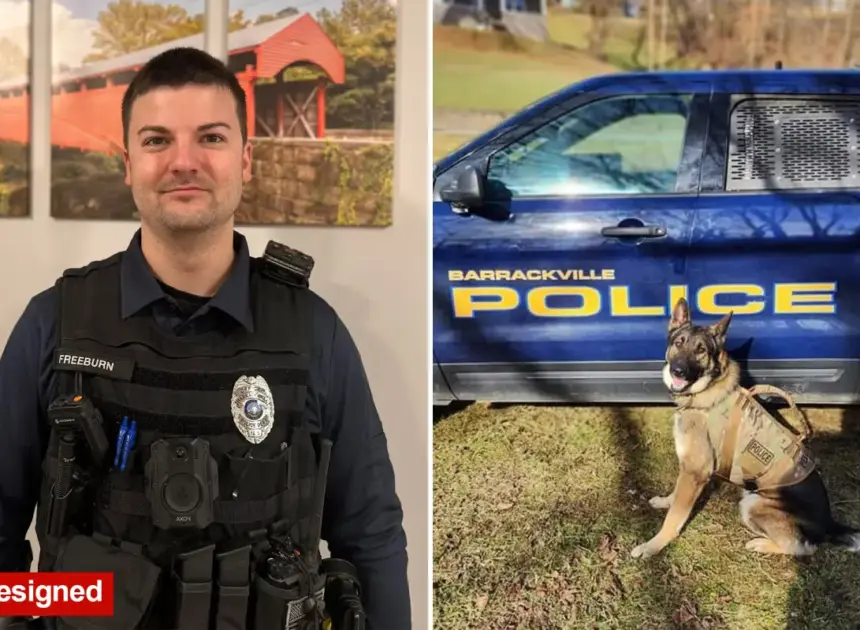 West Virginia town’s entire police force fired after ex-sergeant claims evidence room was broken into