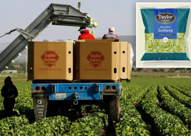 Taylor Farms to recall ingredients linked to ‘explosive diarrhea’ parasite cyclosporiasis outbreak