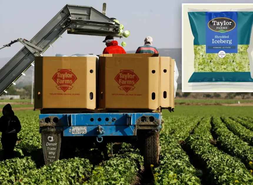 Taylor Farms to recall ingredients linked to ‘explosive diarrhea’ parasite cyclosporiasis outbreak