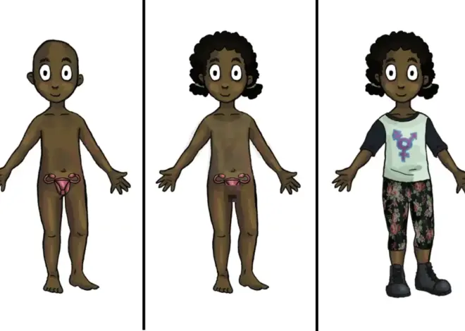 Taxpayer-funded trans dolls — with removable genitalia — to hit classrooms this fall for kids as young as 4