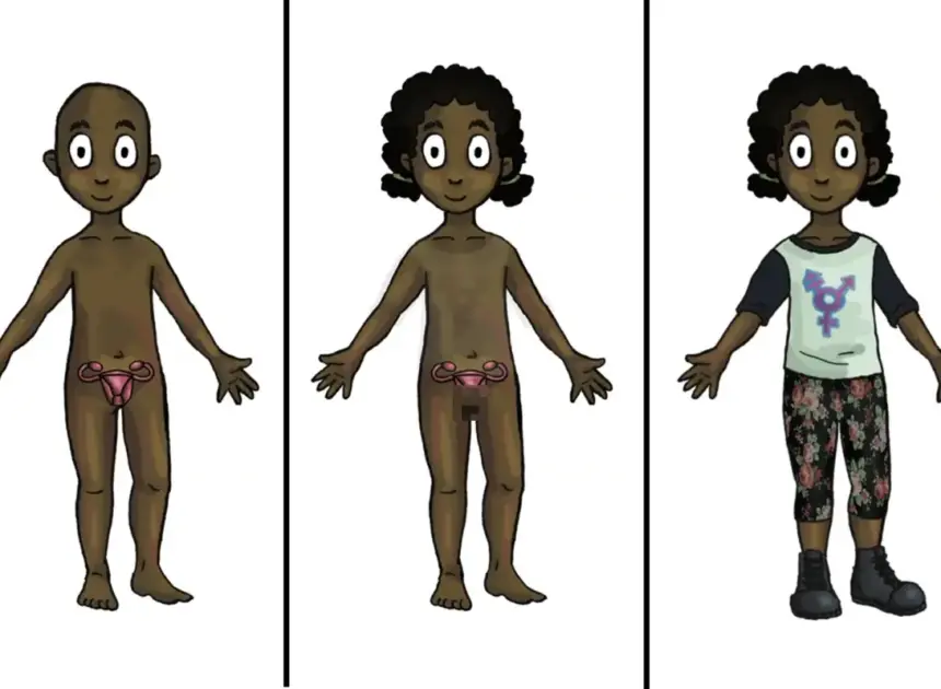 Taxpayer-funded trans dolls — with removable genitalia — to hit classrooms this fall for kids as young as 4