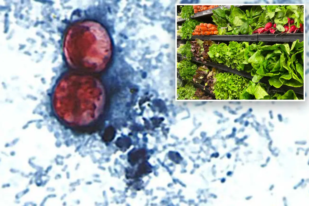 ‘Explosive diarrhea’ parasite spreads to 50 in Suffolk County as Long Island deals with dual outbreaks