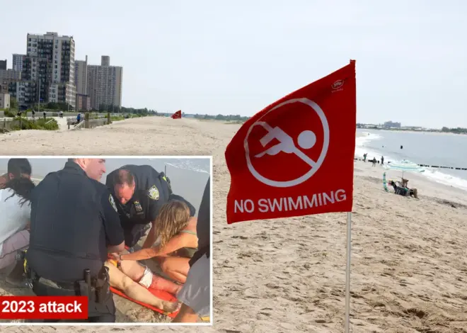 Swarm of bull sharks shut down NYC’s Rockaway Beach during 4th of July weekend heatwave