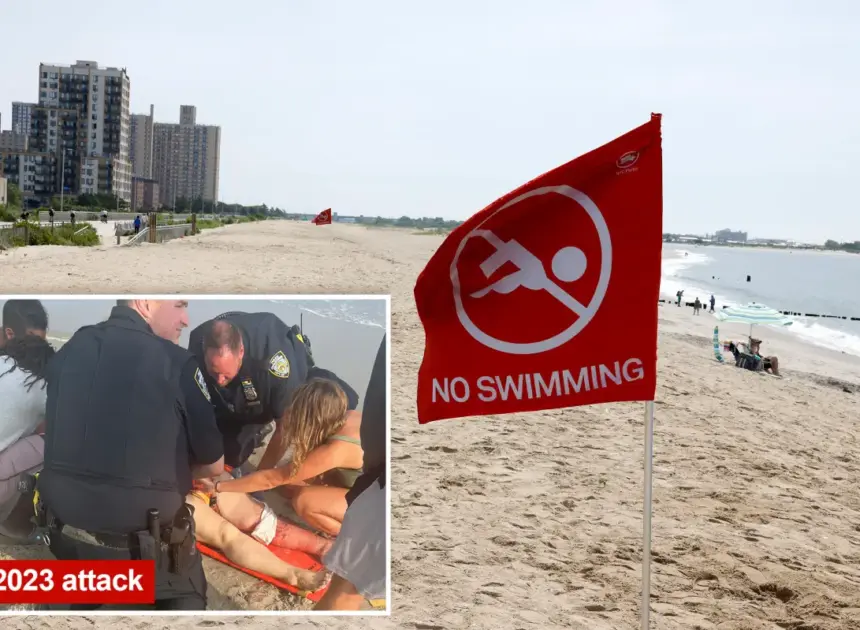 Swarm of bull sharks shut down NYC’s Rockaway Beach during 4th of July weekend heatwave