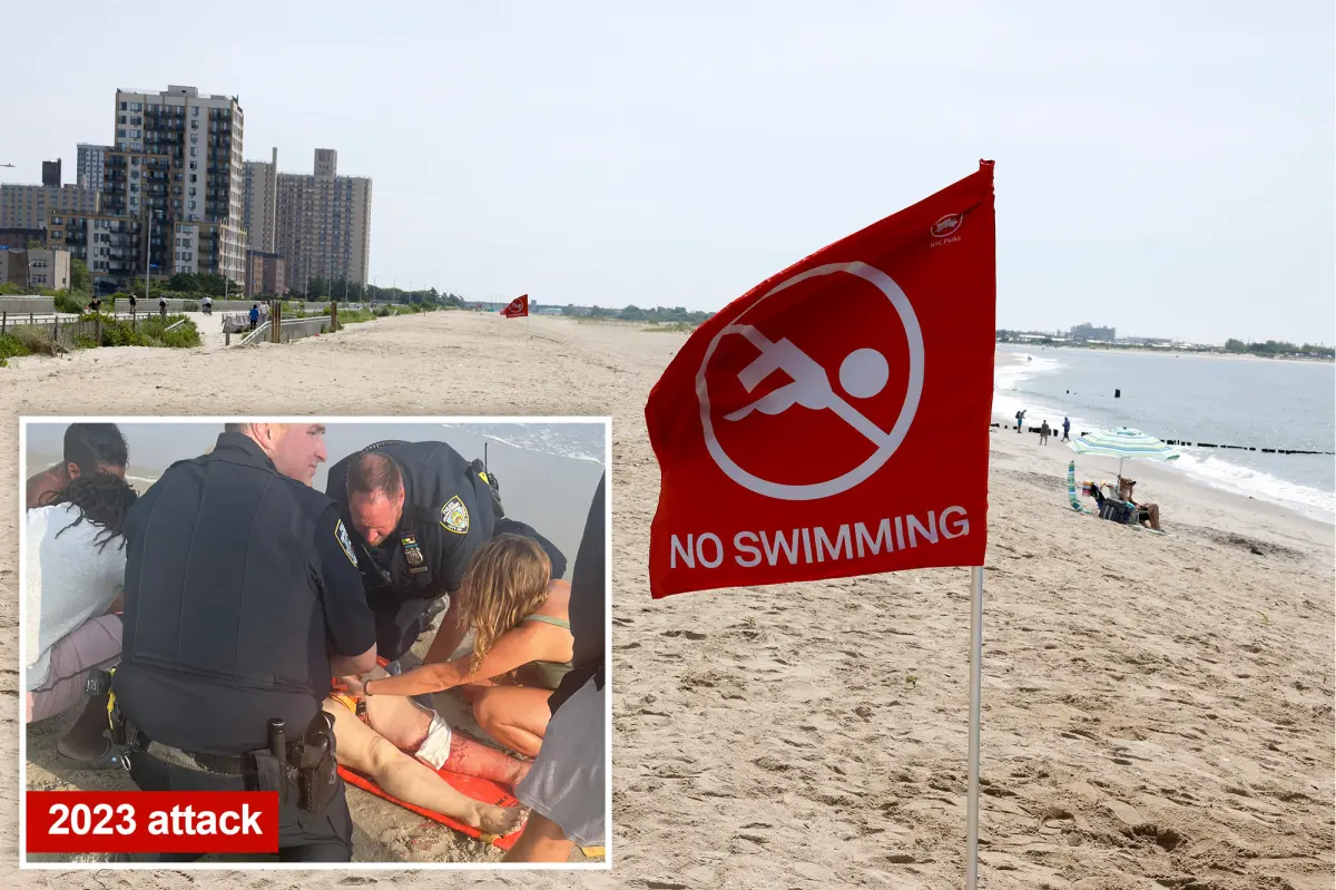 Swarm of bull sharks shut down NYC’s Rockaway Beach during 4th of July weekend heatwave