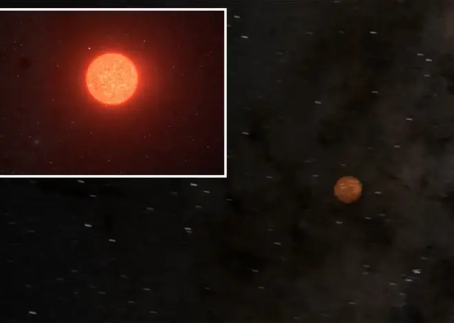 Astronomers discover Earth’s new ‘next-door neighbor’ — a potentially habitable planet