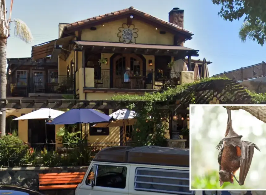 Health officials issue dire warning to unsuspecting restaurant guests possibly exposed to rabies