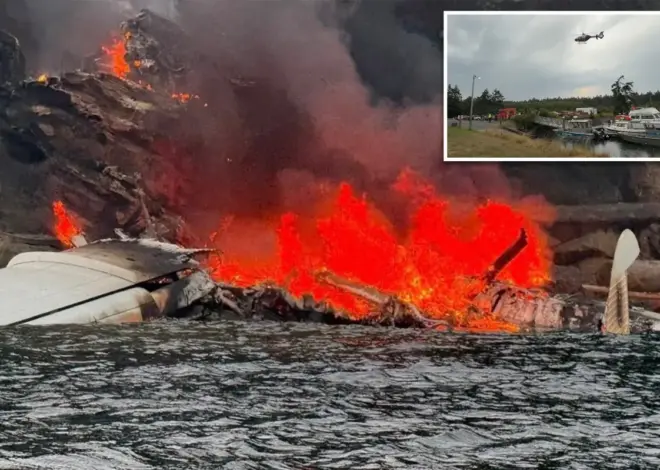Plane with 11 on board bursts into flames after crash-landing off Washington island