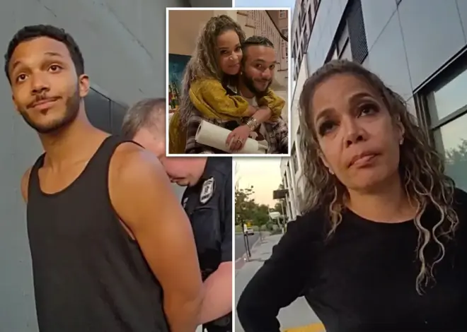 Sunny Hostin tried to talk cops of out busting her Harvard-educated son for trespassing on Metro-North tracks: ‘He has no criminal record’