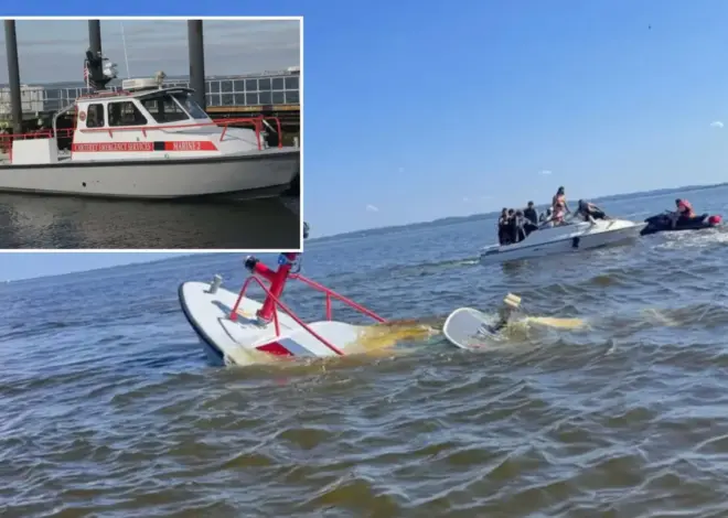 Whale strikes, sinks NJ fire rescue ship returning from NY Harbor after July 4th festivities
