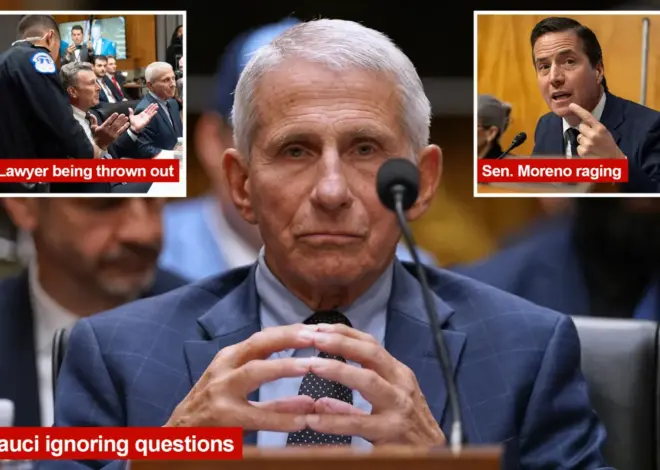The 5 most shocking moments from Anthony Fauci’s Senate COVID testimony