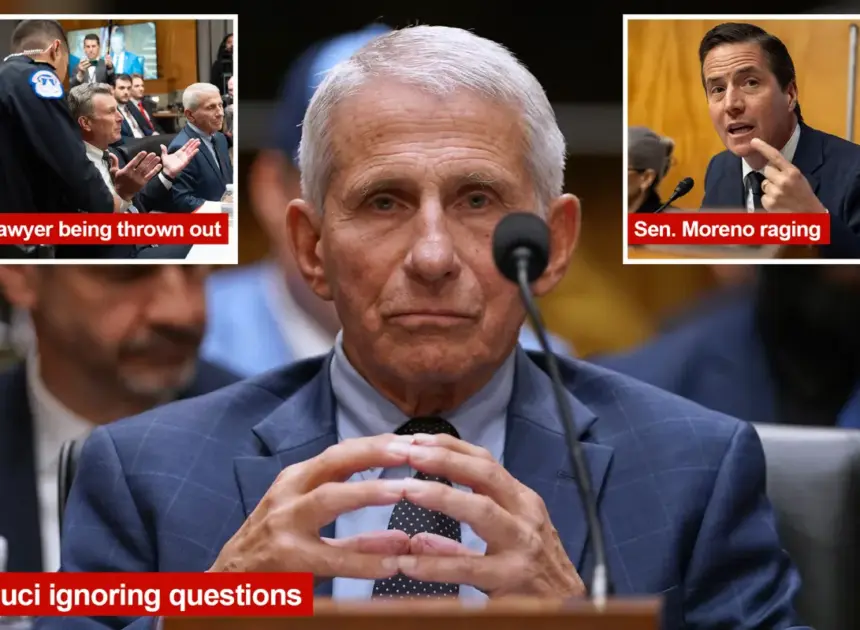 The 5 most shocking moments from Anthony Fauci’s Senate COVID testimony