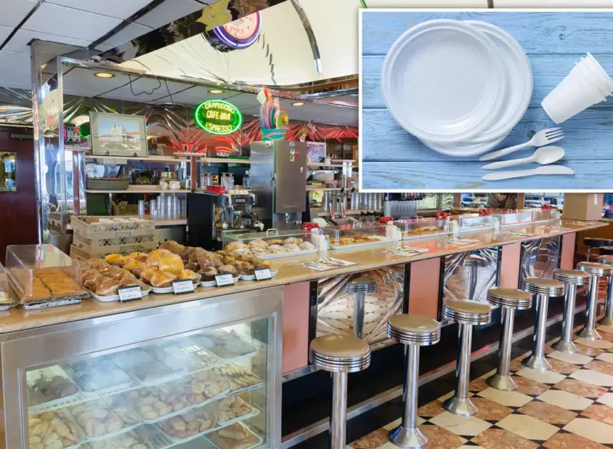 NJ diners fume over new ‘Skip the Stuff’ law affecting take-out orders: ‘Next will be toilet paper in public bathrooms’