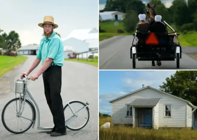 Amish threaten mass exodus from New York over vaccine fight —which is heading to the Supreme Court