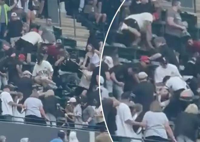 Fan leaps down two rows to stomp fellow spectator in wild brawl during Mets-White Sox game