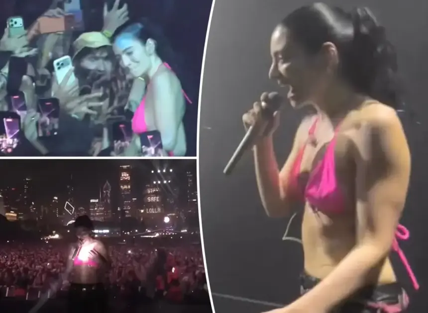 Lorde forced to pause Lollapalooza show after multiple fans pass out in crowd
