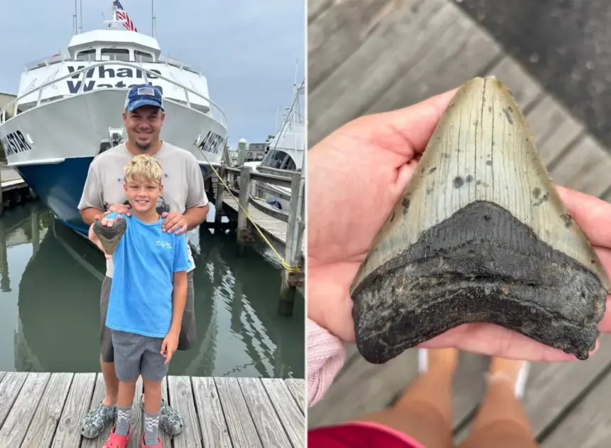 Massive tooth of 3.6M-year-old megalodon — largest shark to ever live — discovered on Jersey Shore