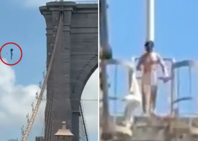 Naked nutjob jumps from Brooklyn Bridge after erecting flags