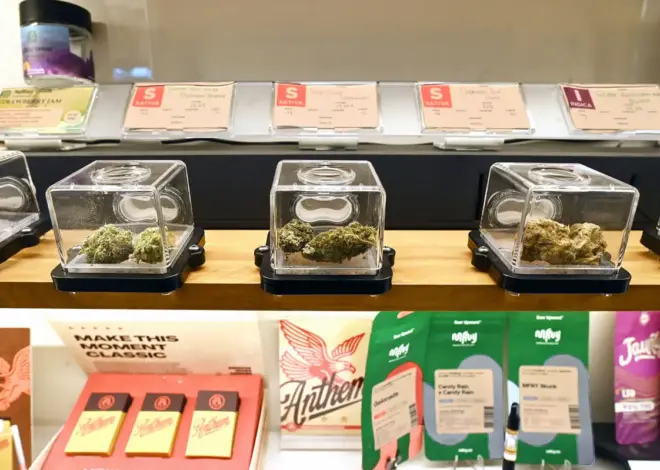 Albany’s pot pushers come for our kids — in an ad campaign filled with deceit