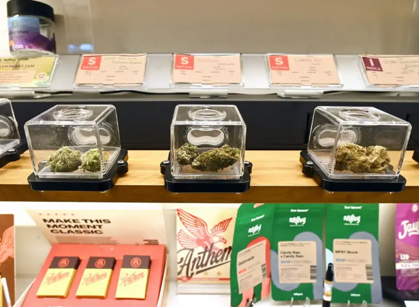 Albany’s pot pushers come for our kids — in an ad campaign filled with deceit