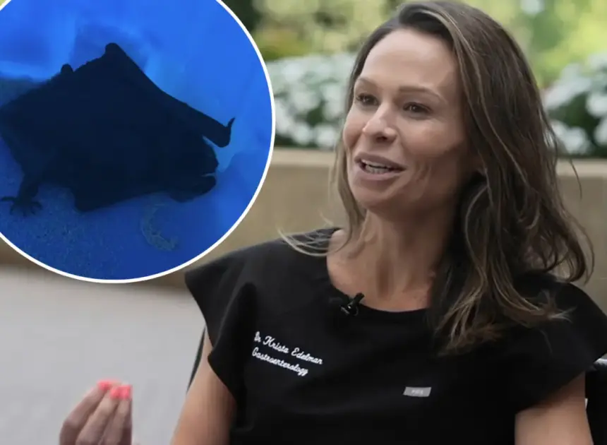 Doctor shares PSA after waking up to a bat trying to ‘burrow’ into her mouth