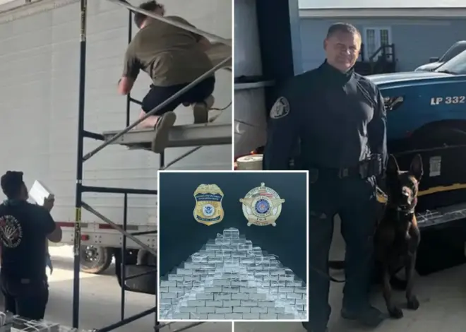 Russian national arrested with nearly 800 pounds of meth in ‘one of the largest’ busts in Louisiana history