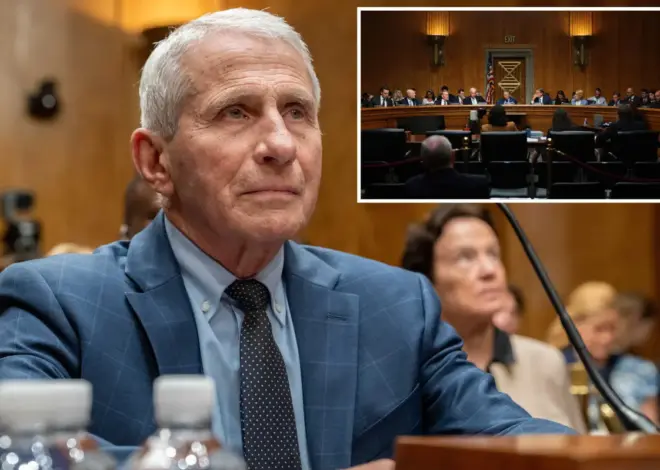 Dr. Anthony Fauci held in contempt by Senate panel after taking the Fifth 111 times in COVID hearing — could face prosecution