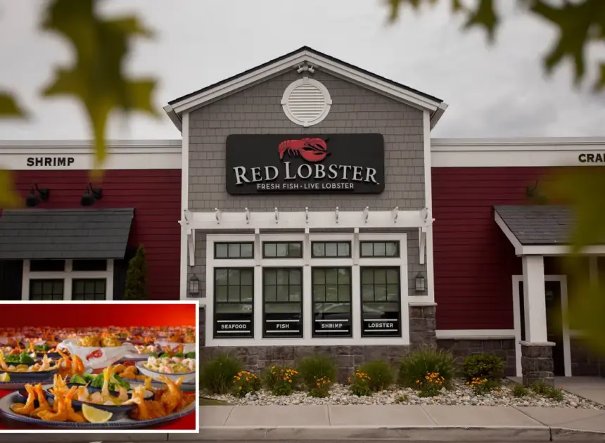Red Lobster bringing back ‘Endless Shrimp’ deal again after bungled promotion sent chain into bankruptcy