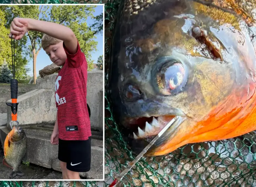 Pennsylvania boy, 8, expected to catch a bass — he hooked a razor-toothed nightmare instead