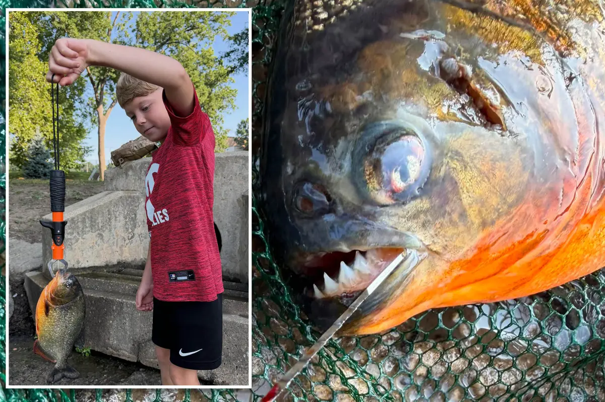 Pennsylvania boy, 8, expected to catch a bass — he hooked a razor-toothed nightmare instead