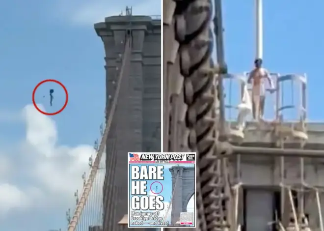 Naked nutjob who leaped from Brooklyn Bridge and miraculously survived identified