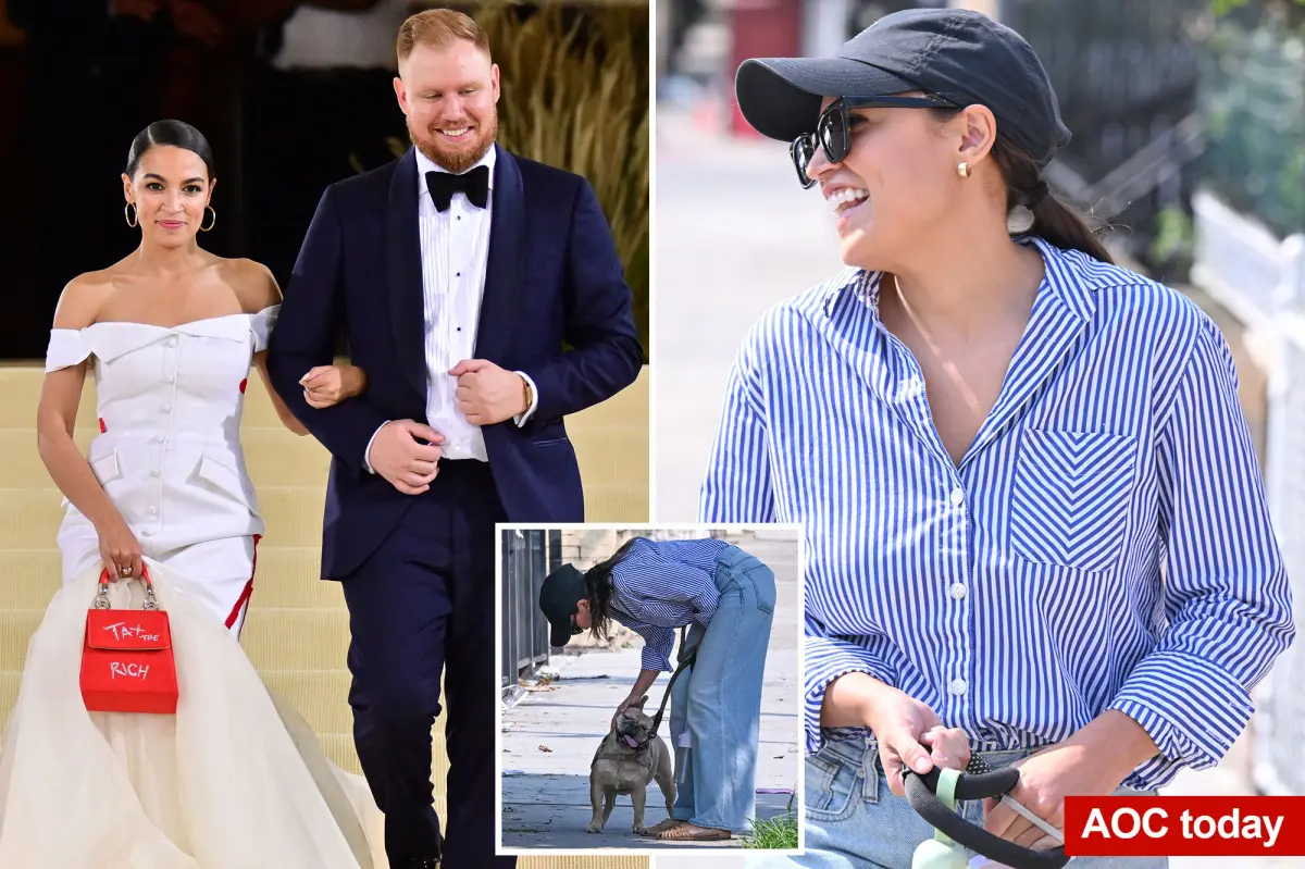 AOC doesn’t deny breaking up with fiancé Riley Roberts, gives head-scratching response after posting egg retrieval video