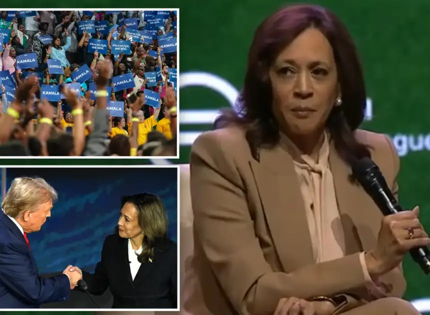 Kamala Harris teases potential 2028 platform: ‘I know this is going to be controversial’ 