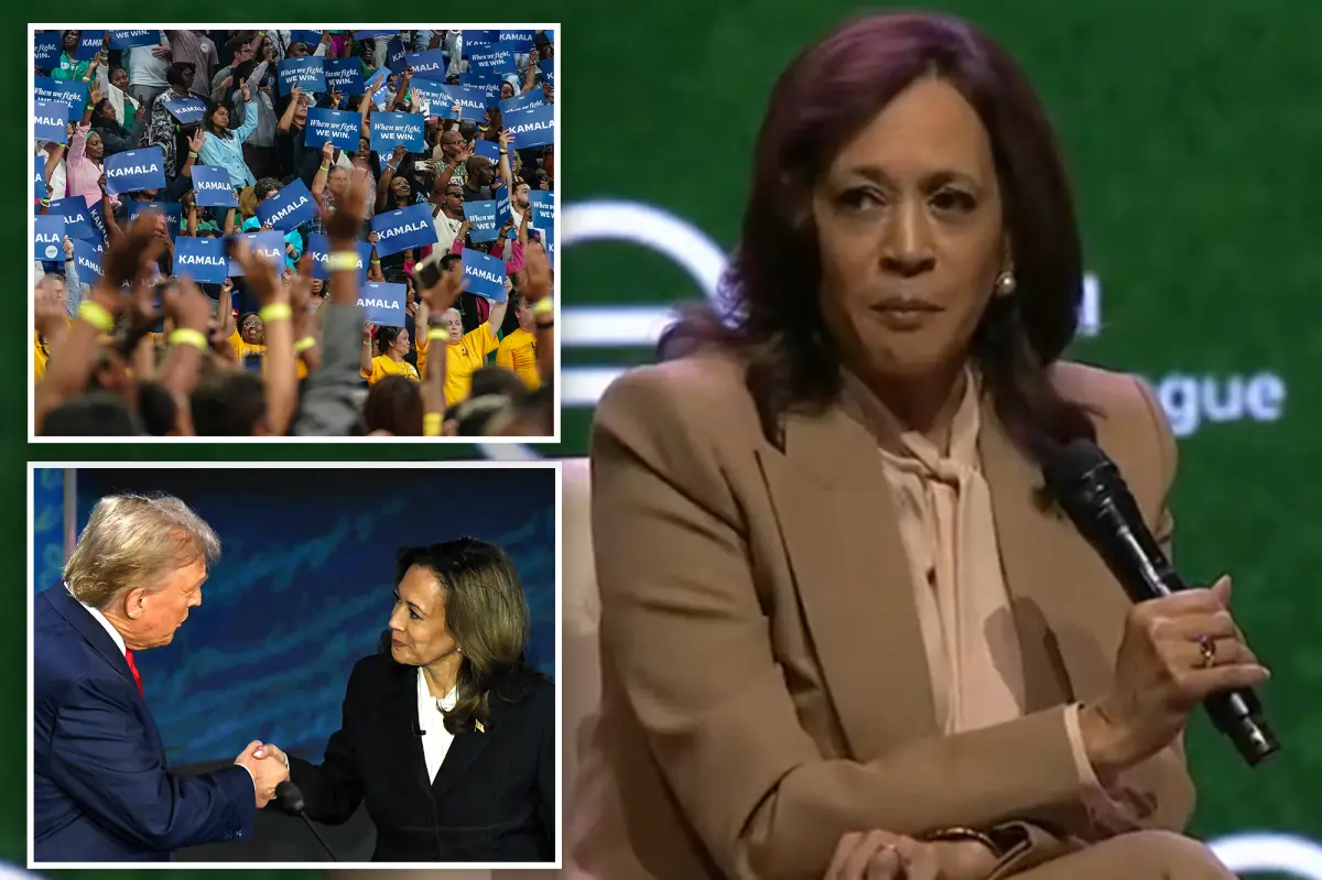 Kamala Harris teases potential 2028 platform: ‘I know this is going to be controversial’ 