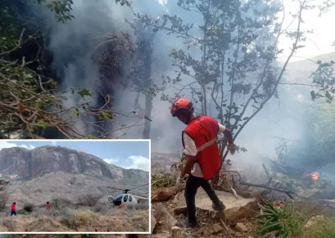 Five Americans killed in fiery Kenya helicopter crash during trip with luxury tour agency