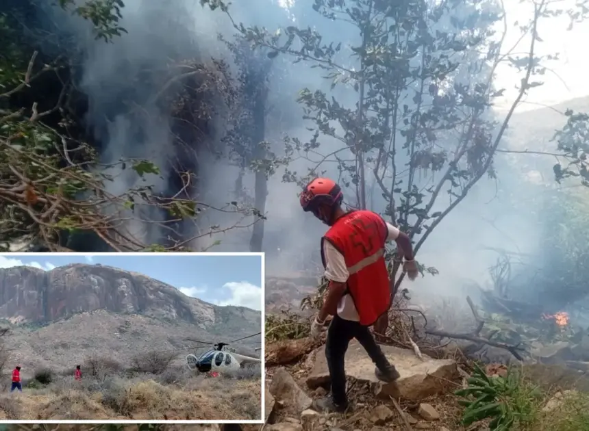Five Americans killed in fiery Kenya helicopter crash during trip with luxury tour agency