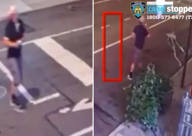 Perverted schlub shoves woman onto NYC sidewalk in horrifying sex attack: cops