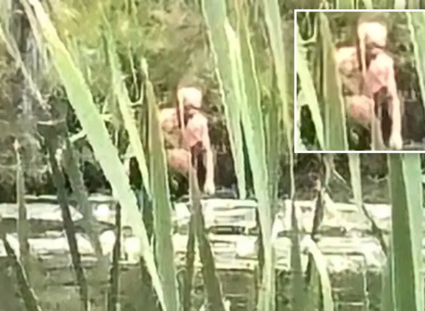 NY Bigfoot sighting of ‘Syracuse Figure’ my have gross NSFW explanation: ‘Inhuman’