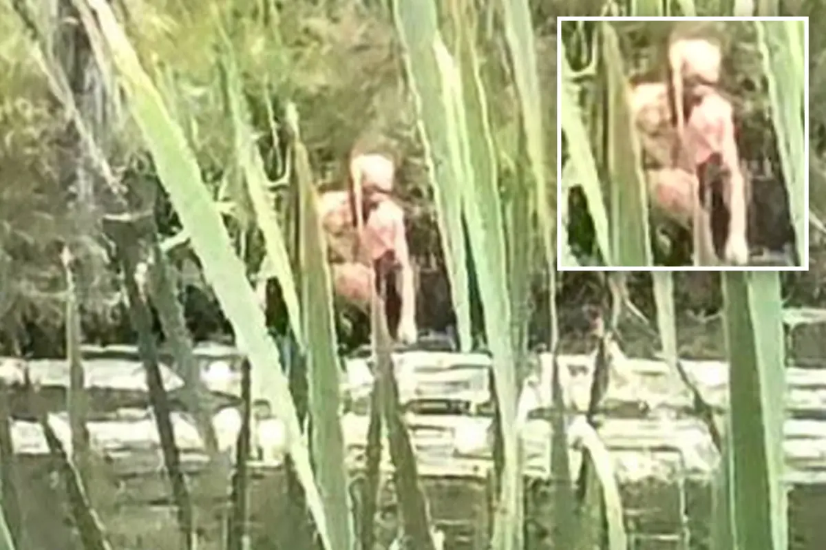 NY Bigfoot sighting of ‘Syracuse Figure’ my have gross NSFW explanation: ‘Inhuman’