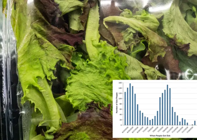 First deaths from ‘explosive diarrhea’ parasite outbreak reported in Michigan — as cases top 11,000
