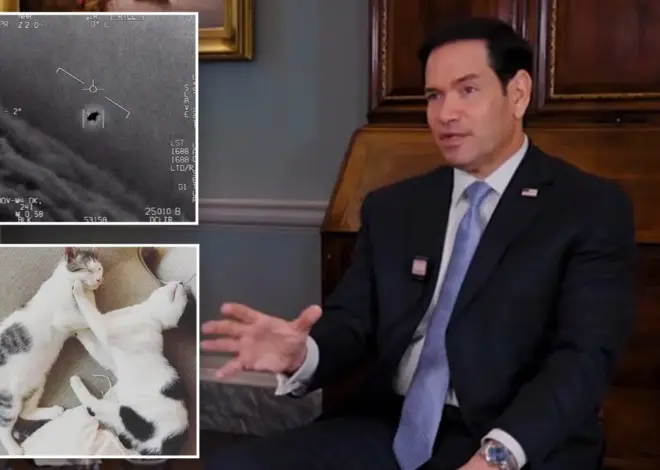 Marco Rubio dishes on ‘serious’ UFO sightings, his war with Pete Hegseth’s cat — and why he won’t do the MAHA diet