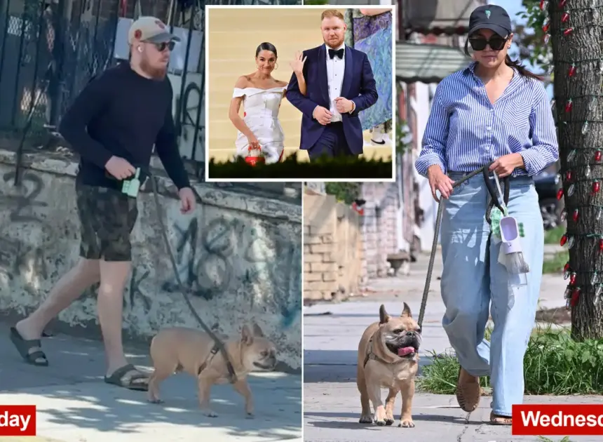 Exclusive | In the doghouse! AOC’s sad sack ex Riley Roberts walks their pooch in first look since split news