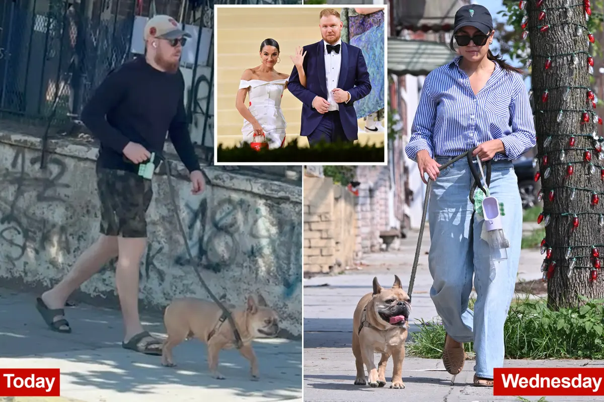 Exclusive | In the doghouse! AOC’s sad sack ex Riley Roberts walks their pooch in first look since split news
