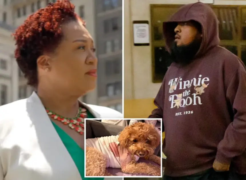 Exclusive | Notorious bail-hating NYC judge releases gunman charged with shooting helpless service dog