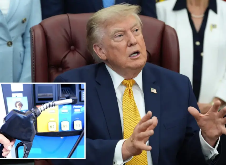 Trump lashes out at Big Oil for ‘making too much money’ during Iran war: ‘They ought to give some of that back’ 