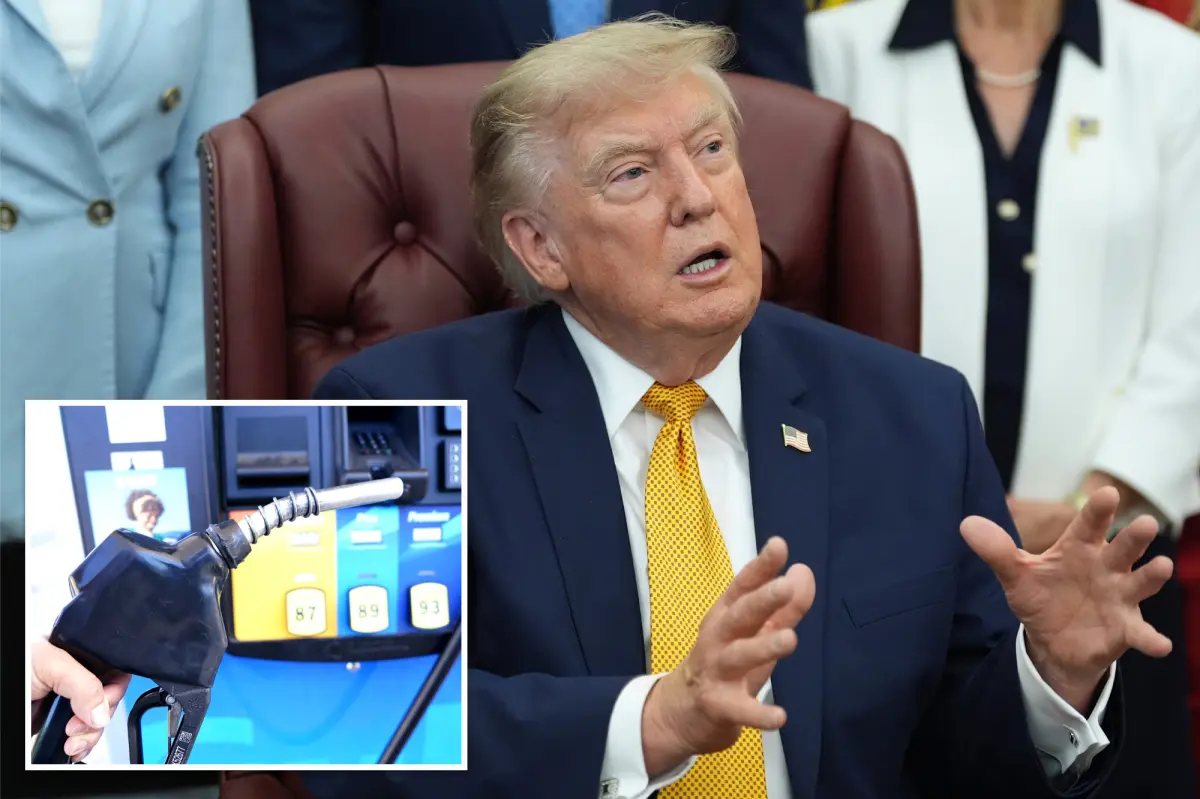 Trump lashes out at Big Oil for ‘making too much money’ during Iran war: ‘They ought to give some of that back’ 