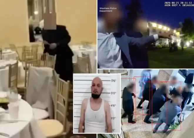 Ohio wedding descends into chaos as families with bad blood brawl at reception