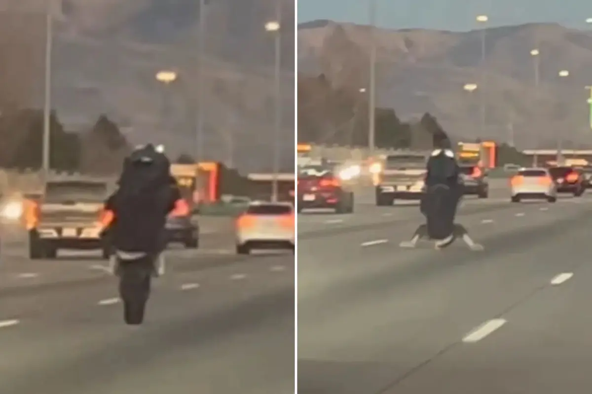 Motorcyclist performs dangerous tricks on busy Idaho highway — gets instant karma